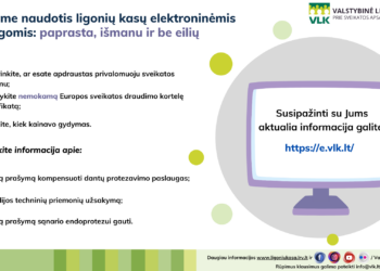 e. paslaugos | VLK nuotr.
