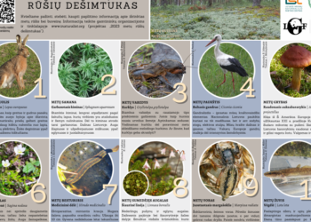 Išrinktas 2023 metų rūšių dešimtukas | lrv.lt nuotr.