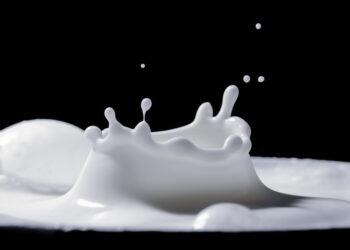 Pienas | zum.lrv.lt nuotr.