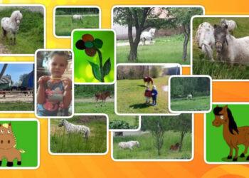 Šviečiamoji gyvulininkystės programa | zum.lrv.lt nuotr.