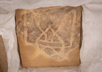 Į Lietuvą atvyko eksponatai iš Ukrainos muziejų | A. Bėkšta, LNM nuotr.