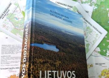 Išleista žmogaus ir miško bendrystės istorijos studija „Lietuvos didžiagirės“ | voruta.lt nuotr.