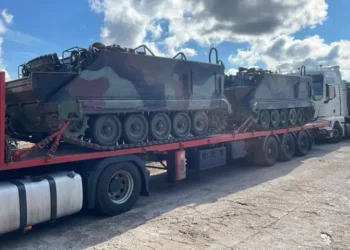 Šarvuočiai | KAM nuotr.