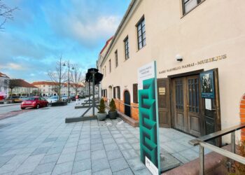 Kazio Varnelio namai-muziejus | lnm.lt nuotr.