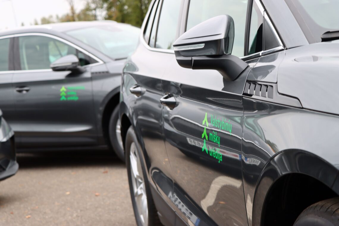 Elektromobiliai | vmu.lt nuotr.