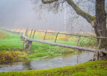 Daugyvenės muziejus kviečia į ekskursiją „Nuo Ilgių iki Vėlinių“ | L. Prascevičiūtės nuotr.