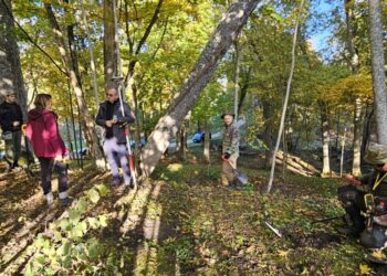 Stelmužės piliavietės žvalgymų akimirka | S. Burokaitės nuotr.