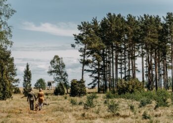 „Neringos iššūkis“ | A. Kundroto nuotr.