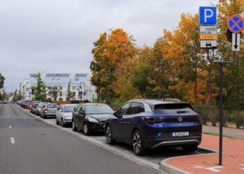 Automobilių statymas | potissimus.lt