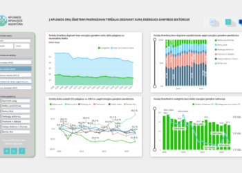 Švieslentė | gamta.lt nuotr.