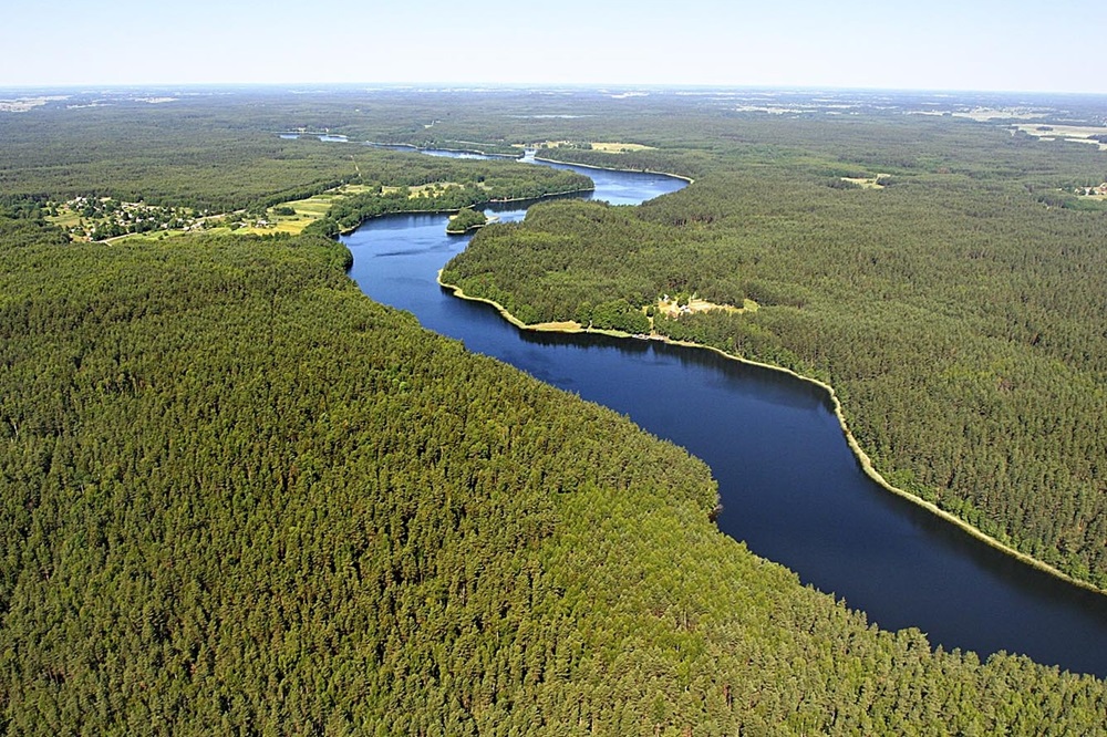 Valstybė išperka biologinei įvairovei svarbius miškus | vstt.lrv.lt nuotr.