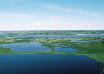 Nuo sausio 1 d. žvejybos plotų aukcionai persikelia į elektroninę erdvę | am.lrv.lt nuotr.