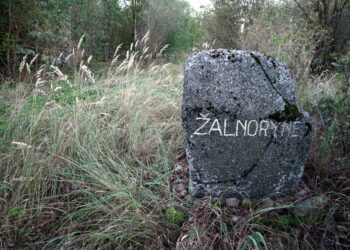 Žalnorynė | Straipsnio autoriaus nuotr.