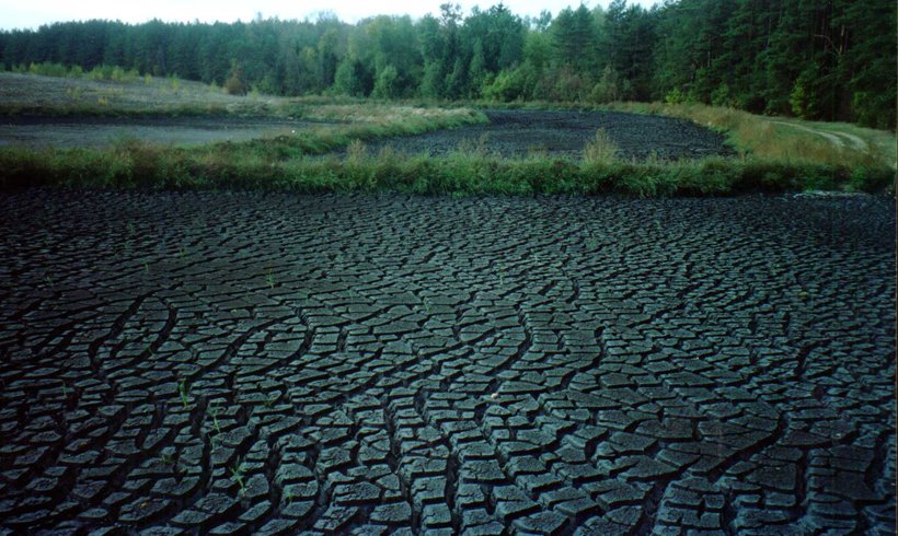 Sapropelis | agroakademija.lt nuotr.