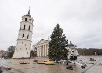 Vilniaus Kalėdų eglė | S. Žiūros nuotr.