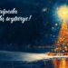 Kalėdos Klaipėdoje | klaipeda.lt nuotr.