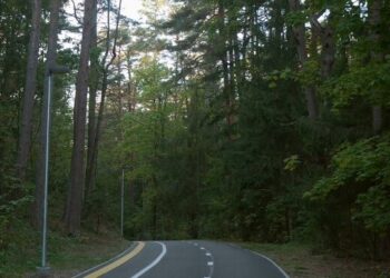 Pėsčiųjų ir dviratininkų takas Juodkrantėjė | neringa.lt nuotr.