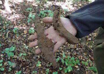 2024 m. rugsėjo mėn. Mantagailiškio dvaras, Biržų raj. | S. Songailaitės nuotr.