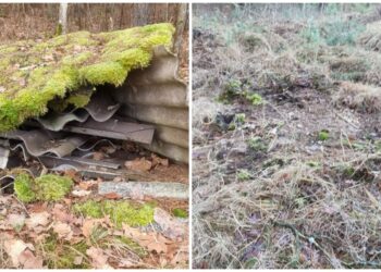 Sutvarkyta 1000-oji interaktyviajame žemėlapyje pažymėta atliekomis užteršta teritorija | aad.lrv.lt nuotr.