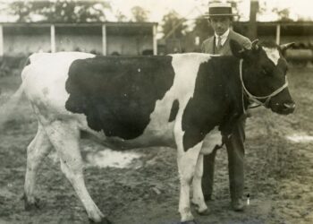 Prieš 105 metus įsteigta Lietuvos ūkininkų sąjunga | vdkaromuziejus.lt nuotr.