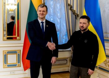 G. Paluckas ir V. Zelenskis