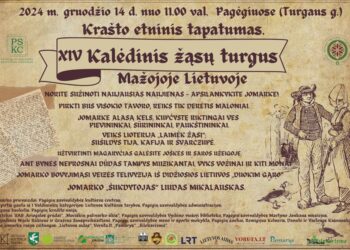 Artėja Kalėdinis žąsų turgus Mažojoje Lietuvoje | voruta.lt nuotr.