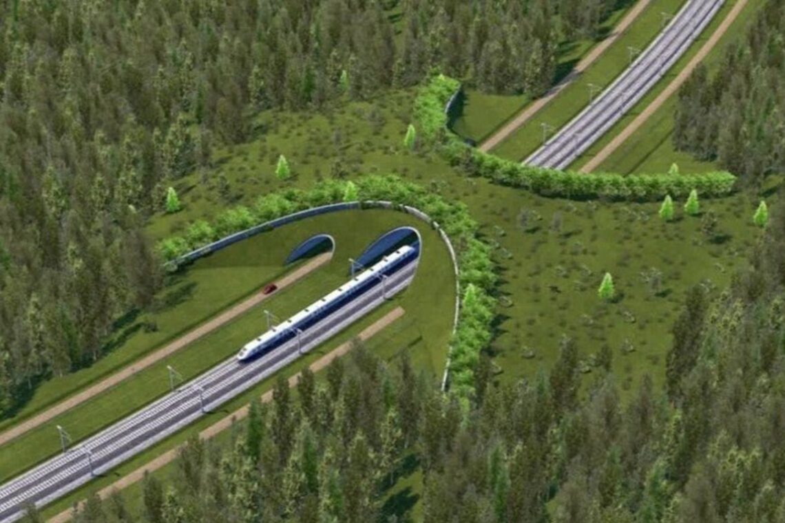 Rail Baltica: nuo žaliųjų tiltų iki naujų lizdaviečių įrengimo