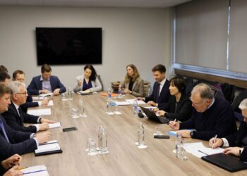 Lietuvoje lankosi TVF ekspertai