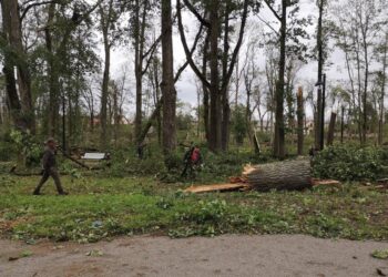 Klimato kaita Lietuvoje: 2024-ieji buvo šilčiausi orų stebėjimo istorijoje | am.lrv.lt nuotr.
