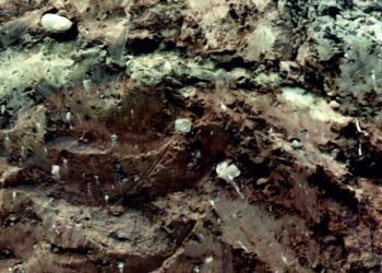 Tipiškas morenos vaizdas | lgt.lrv.lt nuotr.