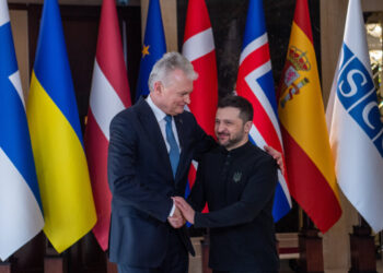 Gitanas Nausėda ir Volodymyras Zelenskis