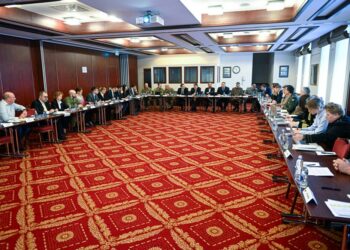 Ukrainos Išminavimo koalicijos posėdis