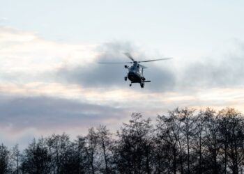 Sraigtasparnis | LK, M. Lysenkos nuotr.