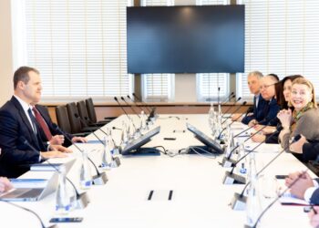 Susitikimas Vyriausybėje