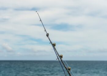 Gaudantiems stintas aplinkosaugininkai primena svarbiausius reikalavimus | aad.lrv.lt nuotr.