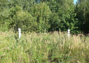 Partizanų žuvimo vieta, Ažagų miškas