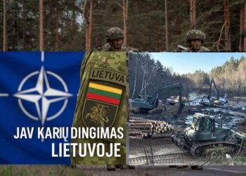 Pabradės kariniame poligone tęsiami gelbėjimo darbai