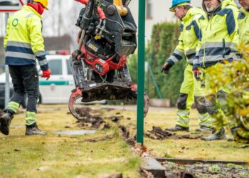 Šalinama nelegali tvora