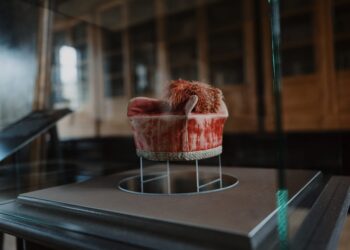 Atskleista daugiau paslapčių apie išlikusią pirmojo Vilniaus universiteto rektoriaus iškilmingą aprangą | valdovurumai.lt nuotr.