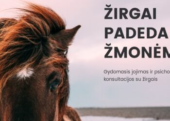 Gydymas žirgais – ir vaikui, ir pensininkui