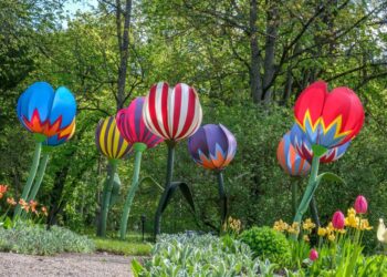 Burbiškio dvare prieš Tulpių žydėjimo šventę pražydo įspūdingas lenkų menininko kūrinys | L. Prascevičiūtės nuotr.