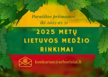 Lietuvos medis 2025