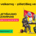 Pilietiškumo egzaminas. Plakatas