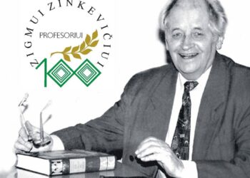 Parodos vizualizacija 2025 m. | dail. J. Zovės darbas