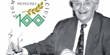 Parodos vizualizacija 2025 m. | dail. J. Zovės darbas