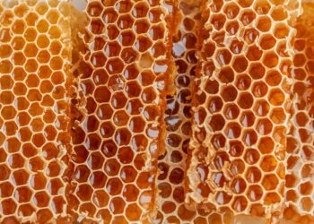 Aptikta virš 3,5 tonų gamintojo UAB „Medaus pirkliai“ galimai suklastoto medaus | vmvt.lrv.lt nuotr.