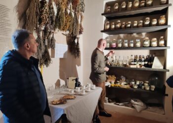 Valdovų rūmų muziejus Ukrainos muziejininkus supažindina su šiuolaikiškiausiais parodų sprendimais | valdovurumai.lt nuotr.