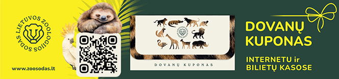 Nykstantys apuokai iš Lietuvos zoologijos sodo grįžta į gamtą | zoosodas.lt nuotr.