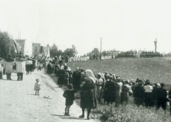 S. Birgelis. Istorija yra žmogaus gyvenimo esmė (I)