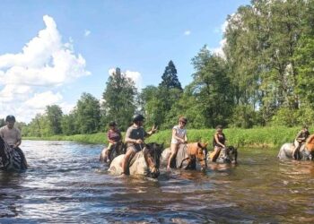 Kur žirgas – ne tik pramoga, bet ir bičiulis: gilioms patirtims kviečia Arklio muziejus | Arklio muziejaus nuotr.